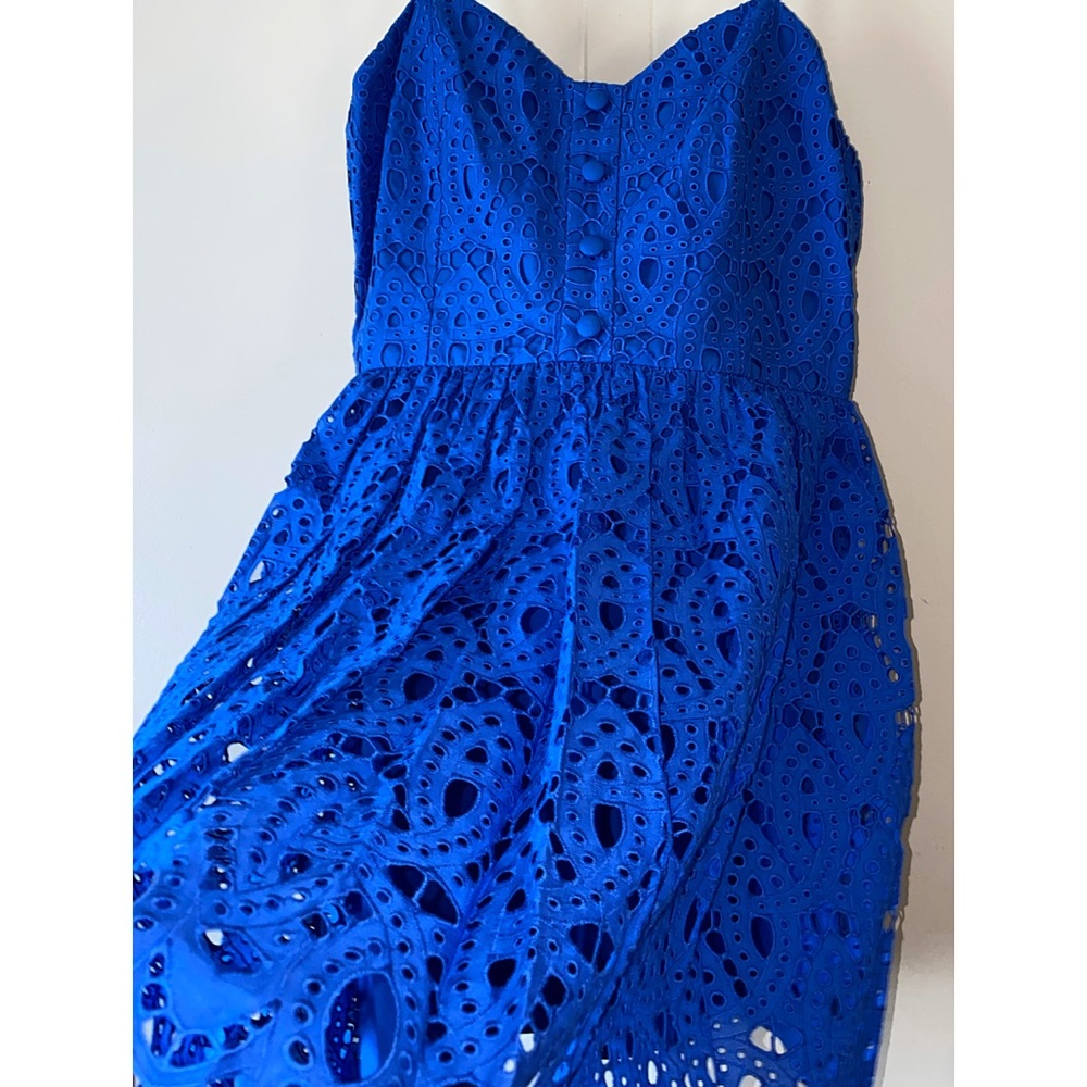Alice + Olivia Nella Embroidered Blue Eyelet Flared Mini Dress - Picture 13 of 15